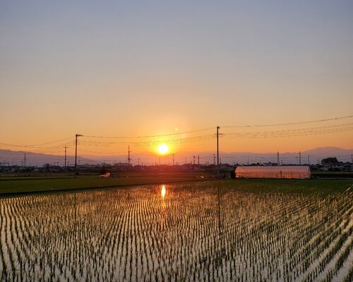 2022ｰ12ｰ02 ブログ光美さんの写真